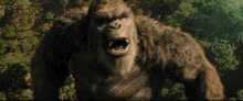 Godzilla Vs Kong Kong GIF - Godzilla Vs Kong Kong Roaring GIFs