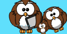 Owl Family GIF - Owl Family GIFs