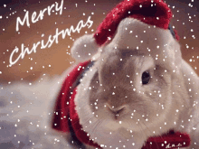 Merry Christmas Dnc GIF - Merry Christmas Dnc GIFs