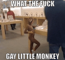 Wtf Gay Little Monkey GIF - Wtf Gay Little Monkey Monkey GIFs