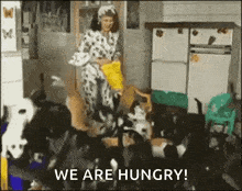 a woman in dalmatian pajamas is feeding a bunch of cats in a kitchen