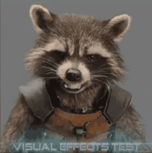 Rocket Raccoon Guardians Of The Galaxy GIF