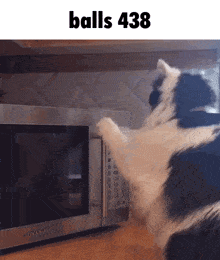 a cat is reaching into a sylvania microwave to get something out of it