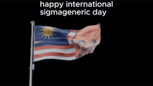a picture of a flag with the words happy international sigmagenic day on it