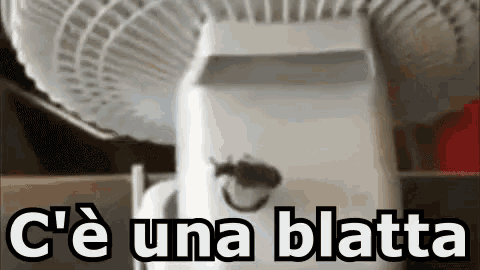 Blatta Scarafaggio Insetto Ventilatore Sporcizia Schifo GIF - Cockroach  Roach Insect - Discover & Share GIFs