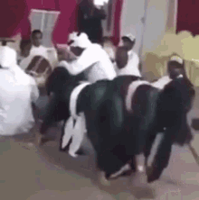 Arab Girls Twerking GIF - Arab Girls Twerking Twerk GIFs