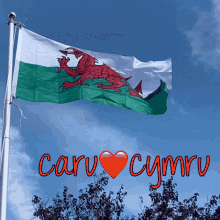 Carucymru Wales GIF - Carucymru Cymru Wales GIFs