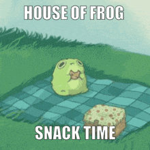 a frog is sitting on a checkered blanket next to a cake