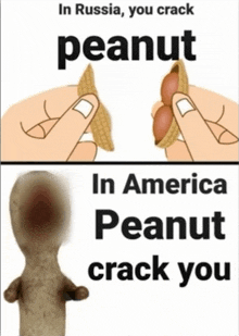 in russia you crack peanut in america peanut crack you poster