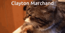 clayton marchand clayton big ben