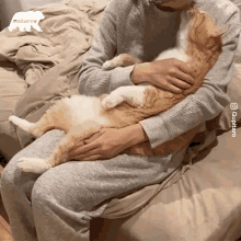 Petting A Cat Cat GIF - Petting A Cat Cat Licking GIFs
