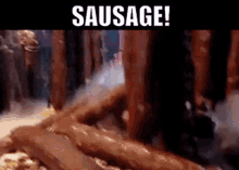 Sausage Iron Chef GIF