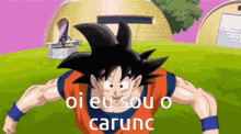 Goku Carunc GIF