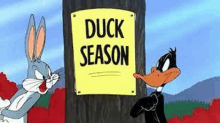 Duck Season GIF - Duck Season GIFs