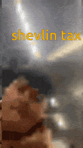 Sigma Shevlin GIF - Sigma Shevlin Connor GIFs