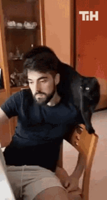 Feeding Fail This Is Happening GIF - Feeding Fail This Is Happening Hungry Cat GIFs