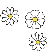 Daisies Flower Sticker