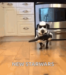 Hot Dog Trooper Dogs GIF - Hot Dog Trooper Dogs Cosplay GIFs