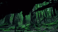 Trees Forest GIF