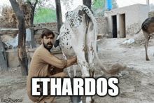 a man is milking a cow with the words ethardos written below him