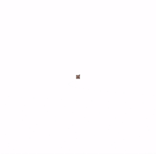 bug a