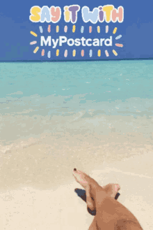 vacation holiday holiday greetings holiday card vacation card