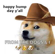 Hump Hump Day GIF - Hump Hump Day Doge GIFs
