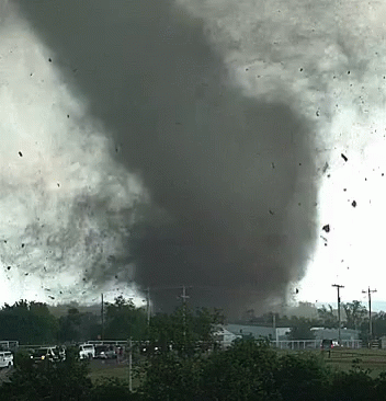 Patada De Tornado Gif