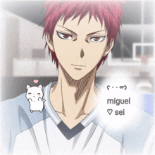 a picture of a man with red hair and the words miguel sei below him