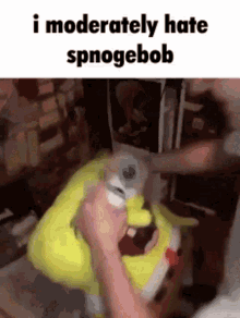 Spongebob Hate GIF - Spongebob Hate Plushie GIFs