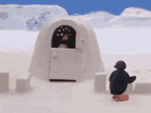 pingu penguin noot hate igloo