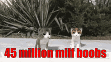 45million Milf Boobs We Do A Little Trolling GIF - 45million Milf Boobs We Do A Little Trolling 45million Booba GIFs