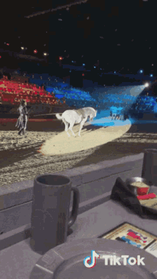 Party Time GIF - Party Time Horse GIFs
