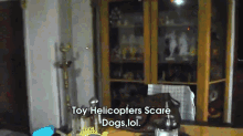 toy helicopter dog frightened