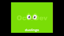 Duolingo GIF - Duolingo GIFs