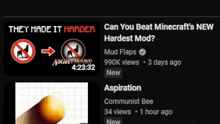 a screenshot of a video that says " can you beat minecraft 's new hardest mod "