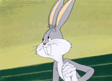 Bugs Bunny Looney Tunes GIF - Bugs Bunny Looney Tunes So Cute GIFs