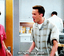 Friends Chandler Bing GIF - Friends Chandler Bing All Right Very Good GIFs