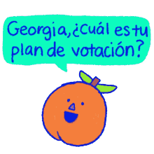 georgia plan to vote early plan to vote georgia voter ga