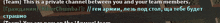 a screenshot of a video game with the words team this is a private channel between you and your team members on it