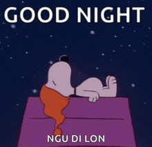 a cartoon of snoopy laying on a bed with the words good night ngu di lon above him