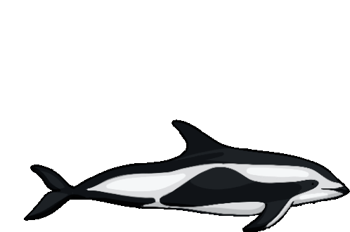Dolphin Hourglass Dolphin Sticker - Dolphin Hourglass Dolphin Stickers