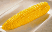 Corn GIF - Corn GIFs