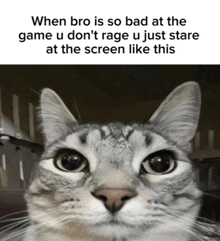 a cat with a caption that says when bro is so bad at the game u don t rage u just stare at the screen
