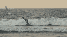 Wipeout Red Bull GIF - Wipeout Red Bull Fall GIFs