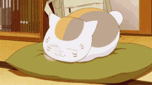 Sleep Sleepy GIF - Sleep Sleepy Cat GIFs