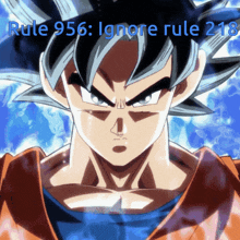Dragon Ball Rule 956 GIF - Dragon Ball Rule 956 Rule GIFs