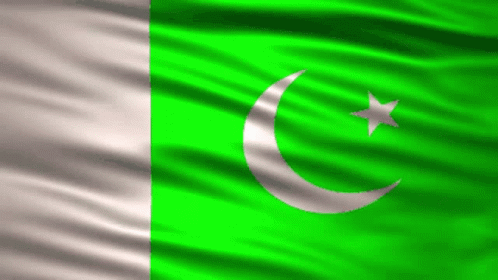 Animated Flag GIF - Animated Flag Pakistani - Discover & Share GIFs