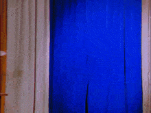 two men are standing behind a blue curtain and one of them is wearing a red jacket with the letter l on it