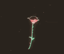 Rose Spinning GIF - Rose Spinning 645dar GIFs